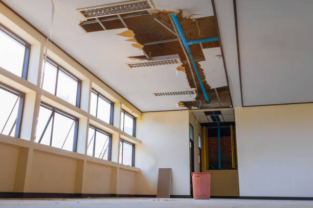 Best Flood damage cleanup  in Shorewood Hills, WI