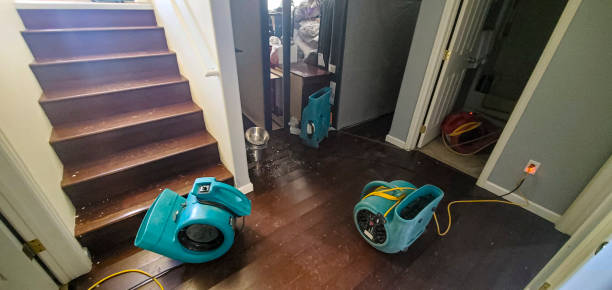 Best Water damage mitigation services  in Shorewood Hills, WI