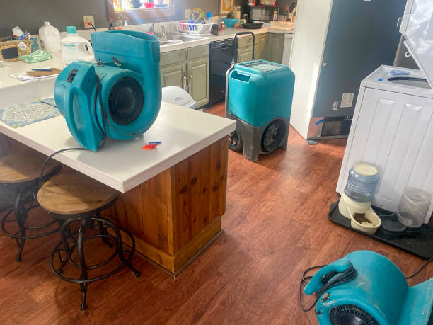 Best Mold removal after water damage  in Shorewood Hills, WI