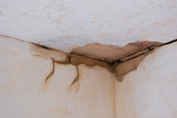 Best Fire Damage Restoration  in Shorewood Hills, WI