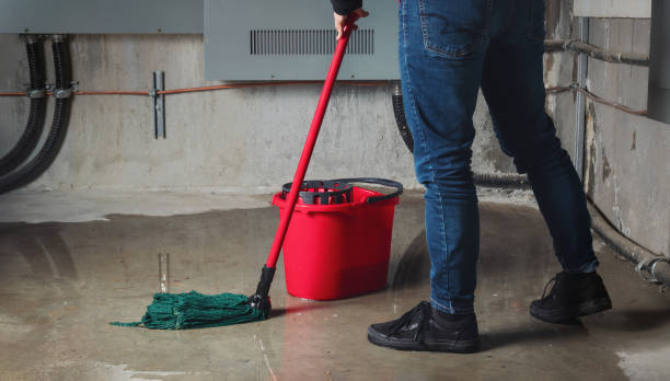 Best Ceiling water damage repair  in Shorewood Hills, WI