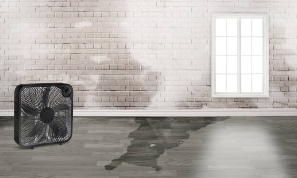 Trusted Shorewood Hills, WI Water damage restoration Experts