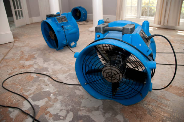 Best Water damage contractors near me  in Shorewood Hills, WI