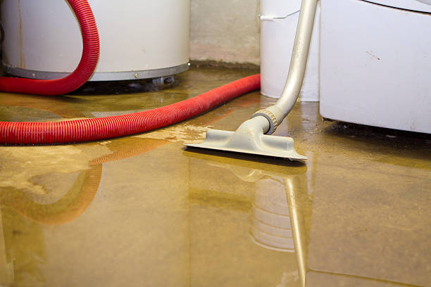 Water damage restoration mold remediation in Shorewood Hills, WI