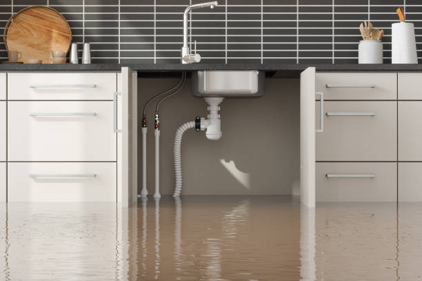 Best Water damage cleanup near me  in Shorewood Hills, WI