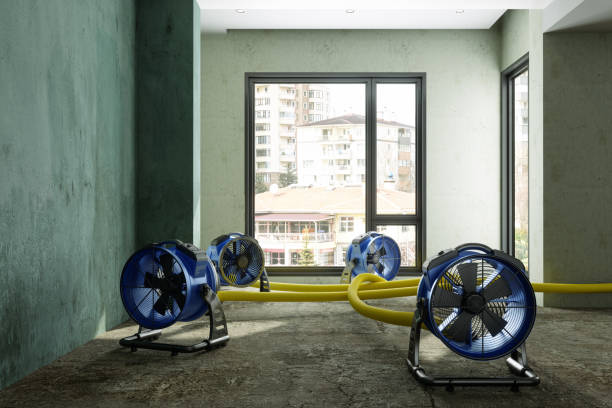  Shorewood Hills, WI Water damage restoration Pros