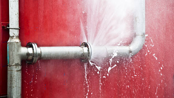 Best Carpet water damage restoration  in Shorewood Hills, WI