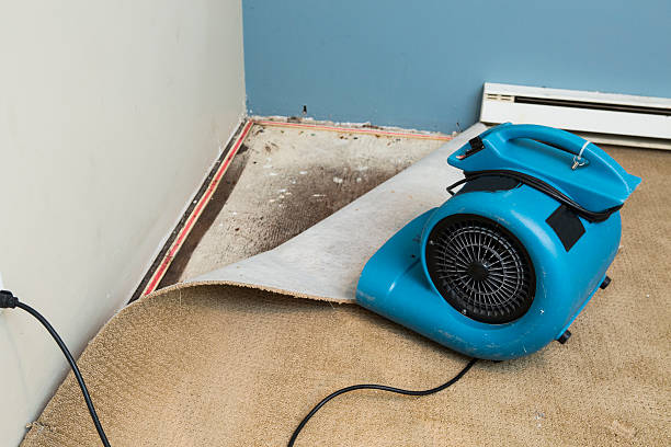 Best Water damage restoration mold remediation  in Shorewood Hills, WI